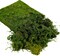 Artificial Moss, 16OZ Fake Moss for Crafts, Decorative Centerpieces, Fairy Garden, Wedding Party Decor, Faux Potted Plants, 455gr